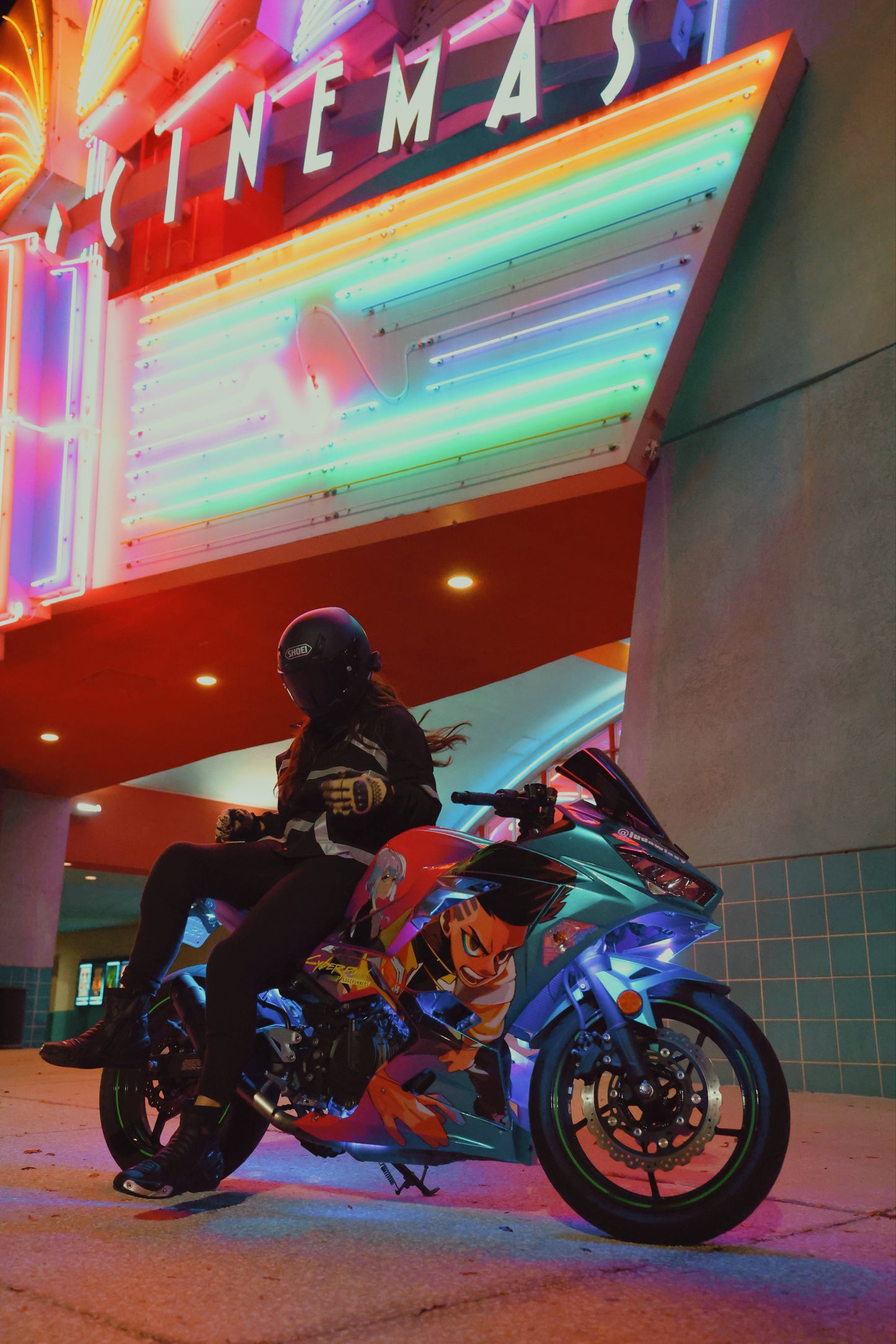 Luda Bike Print 1